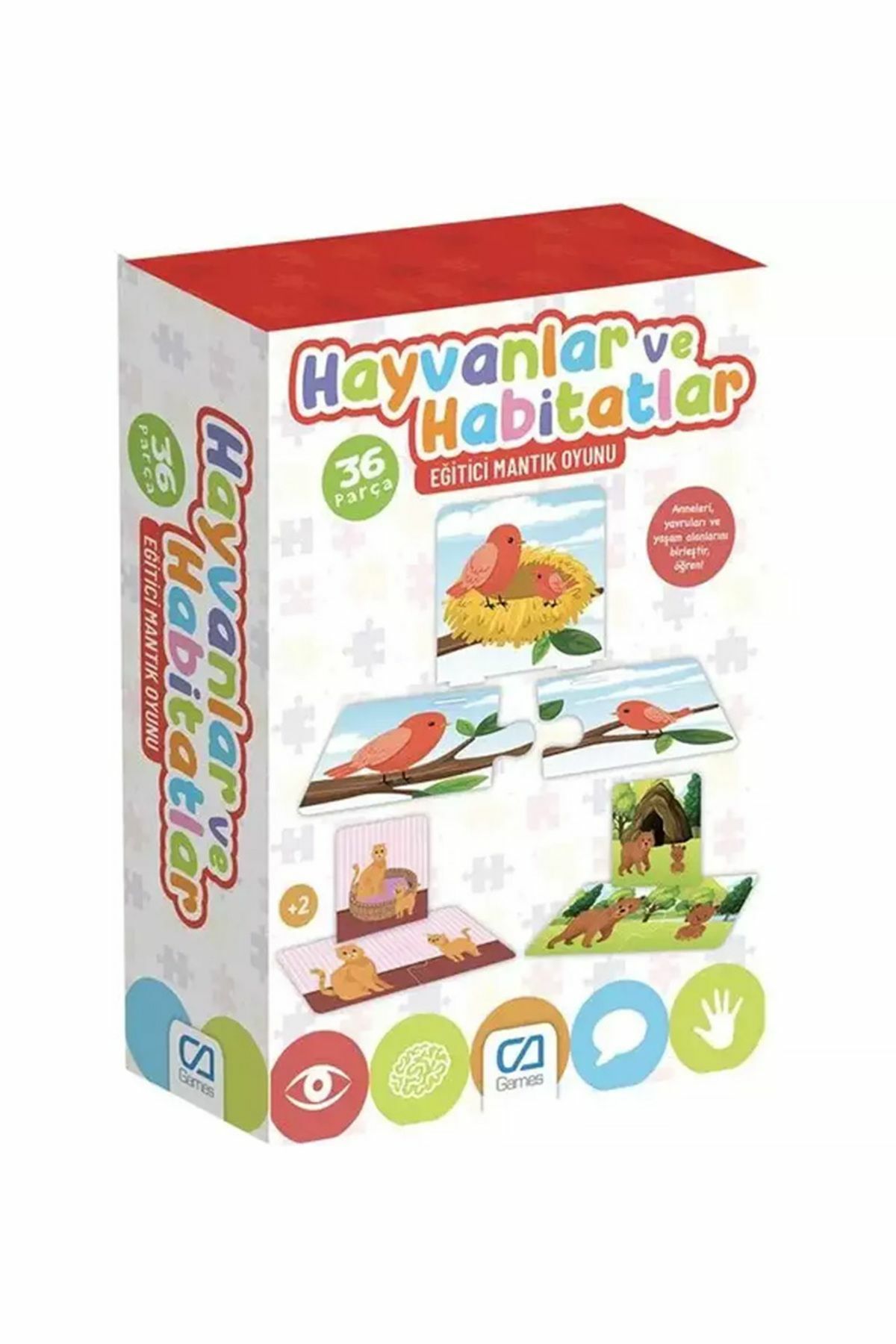 Hayvanlar ve Habitatlar |  Eğlenceli Mantık Oyunu 36 Parça | Mavi Su Dünyası