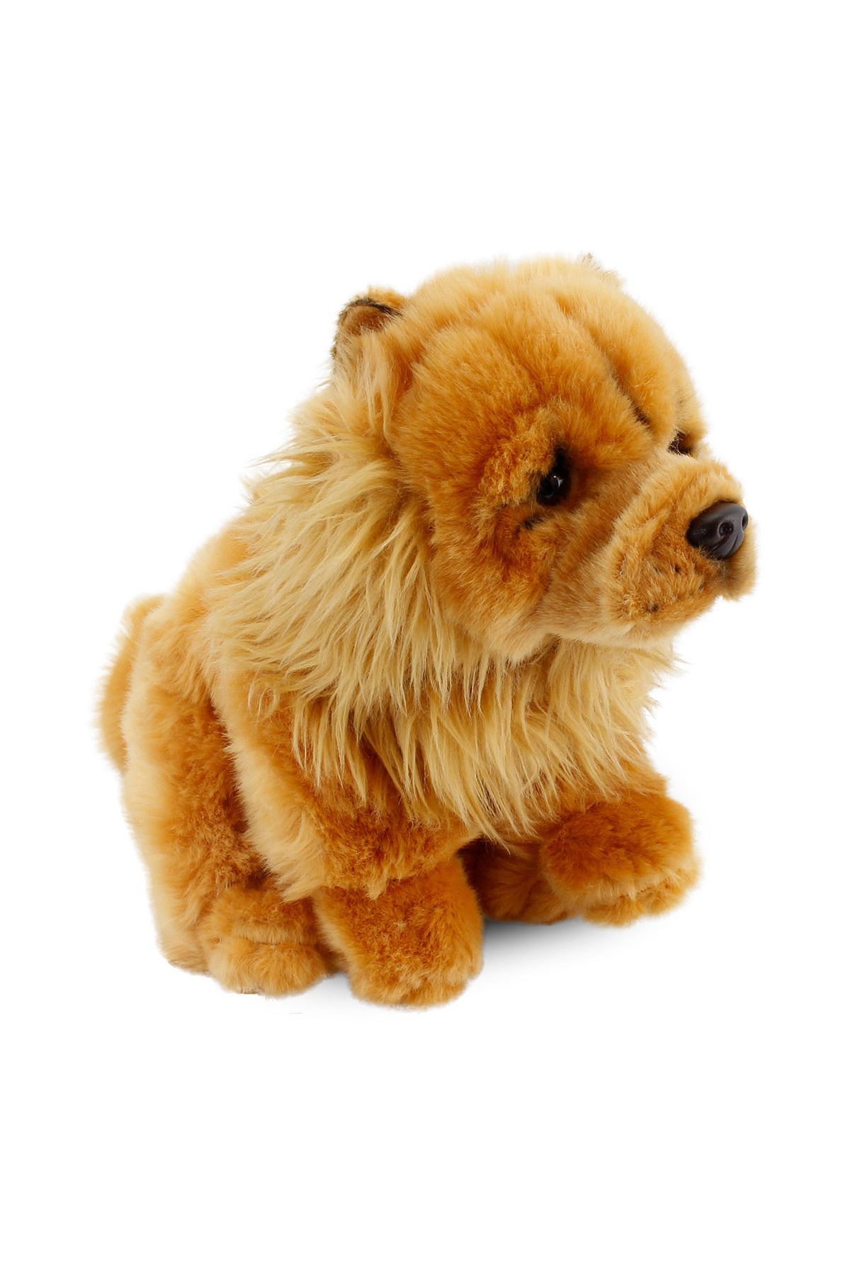 Chow Chow (ÇİN ASLANI) 28cm