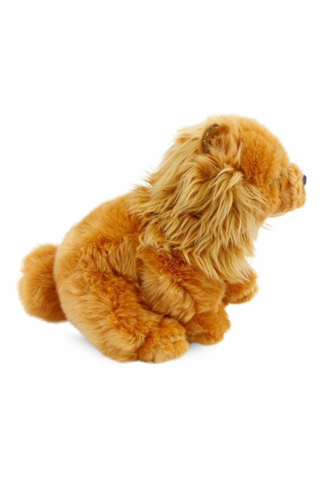 Chow Chow (ÇİN ASLANI) 28cm