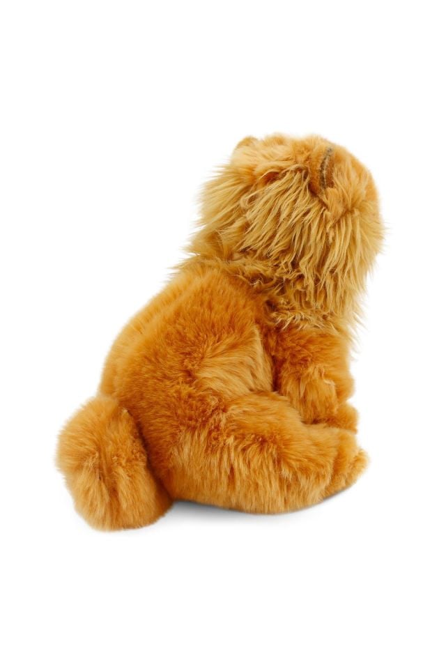 Chow Chow (ÇİN ASLANI) 28cm