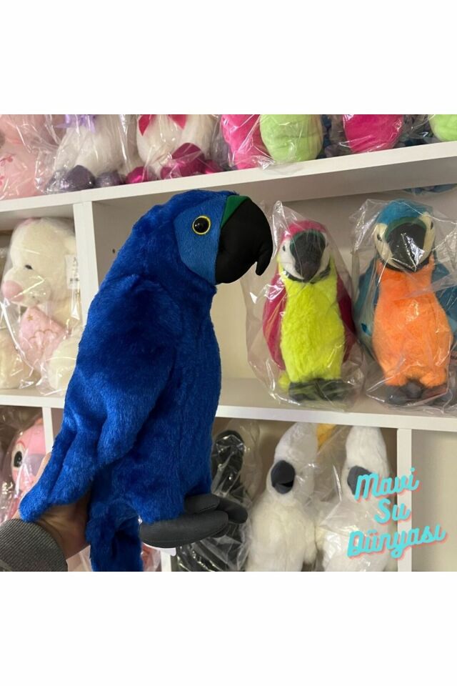 Peluş Papağan 35 Cm - Mavi Su Dünyası