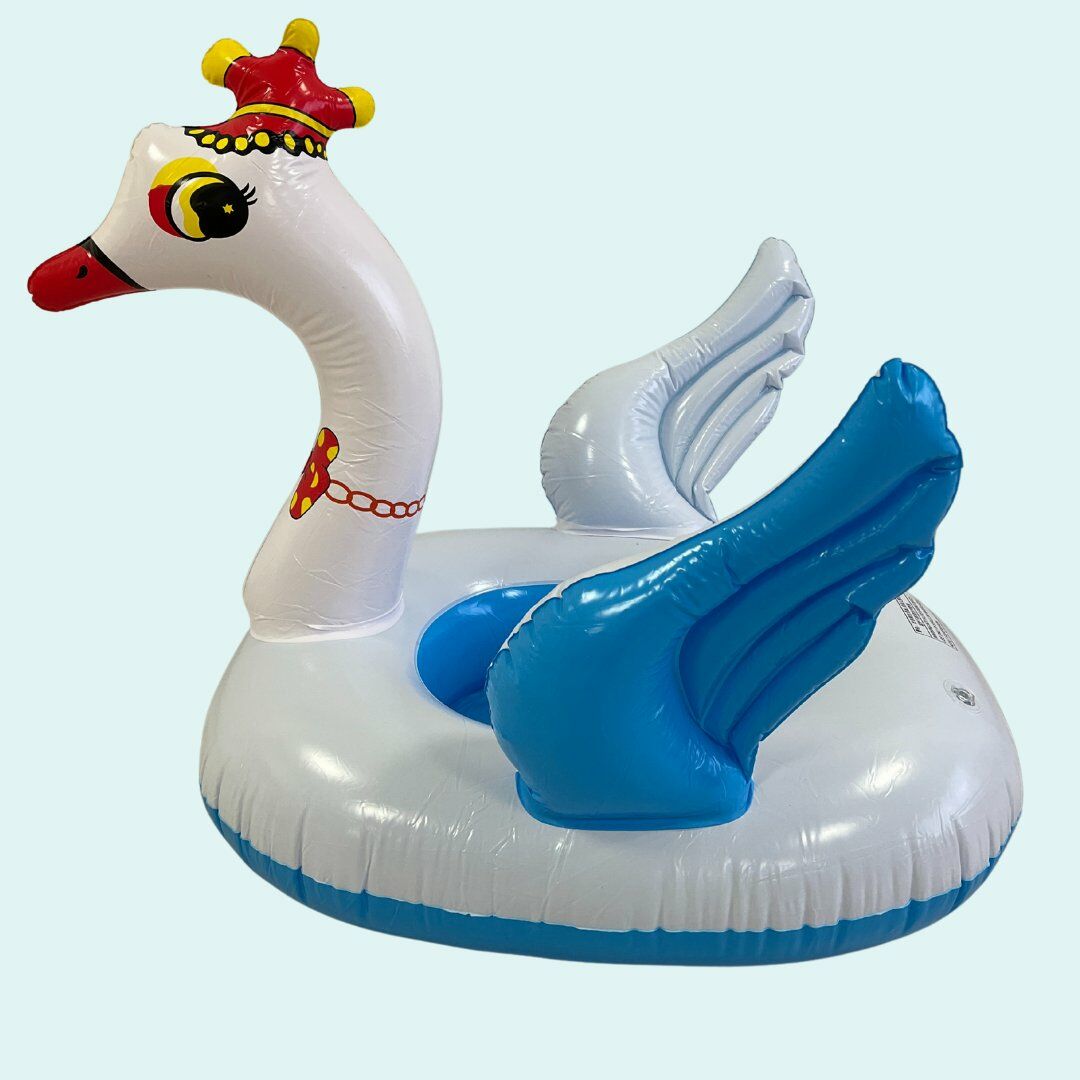 Kuğu Binici | Mavi Su Dünyası