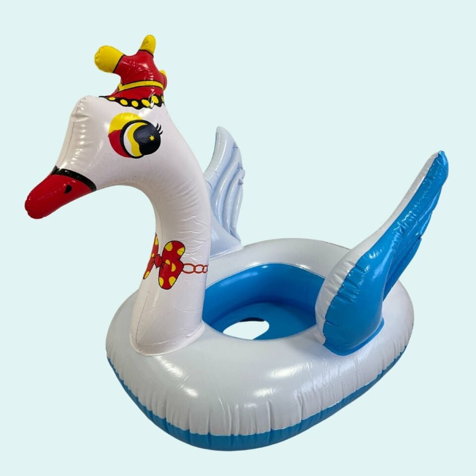 Kuğu Binici | Mavi Su Dünyası