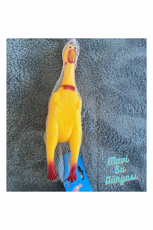 Büyük Viril Öten Horoz