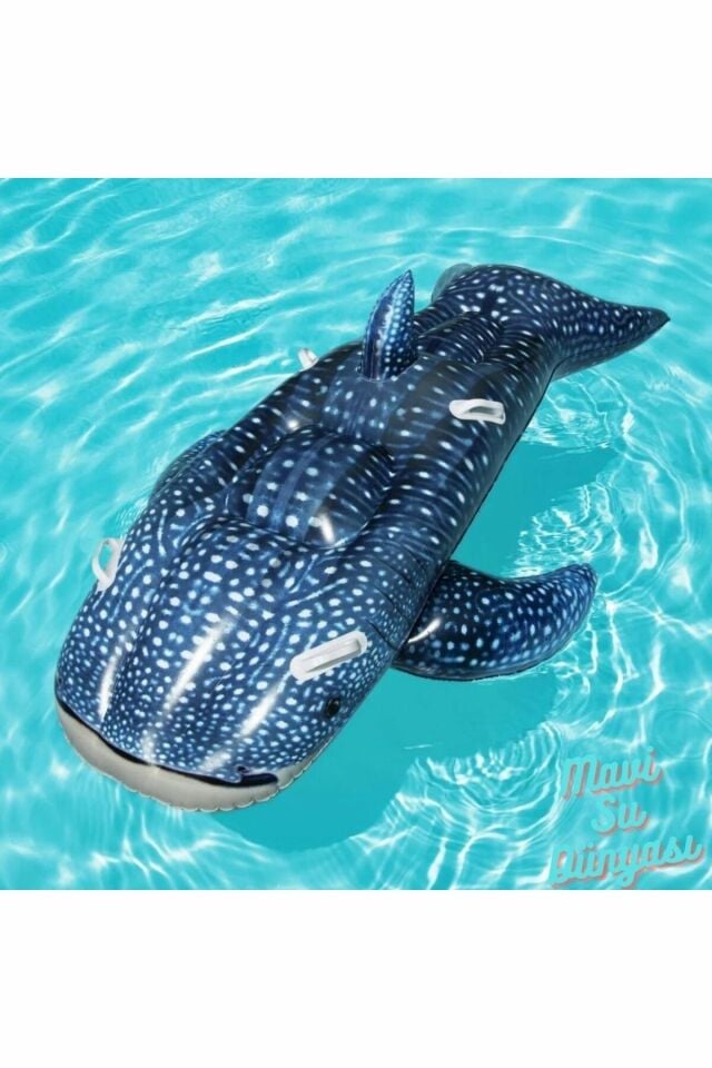 Balina Mavi Binici 193 Cm x 122 Cm