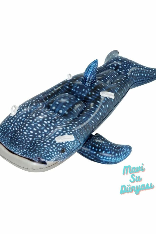 Balina Mavi Binici 193 Cm x 122 Cm