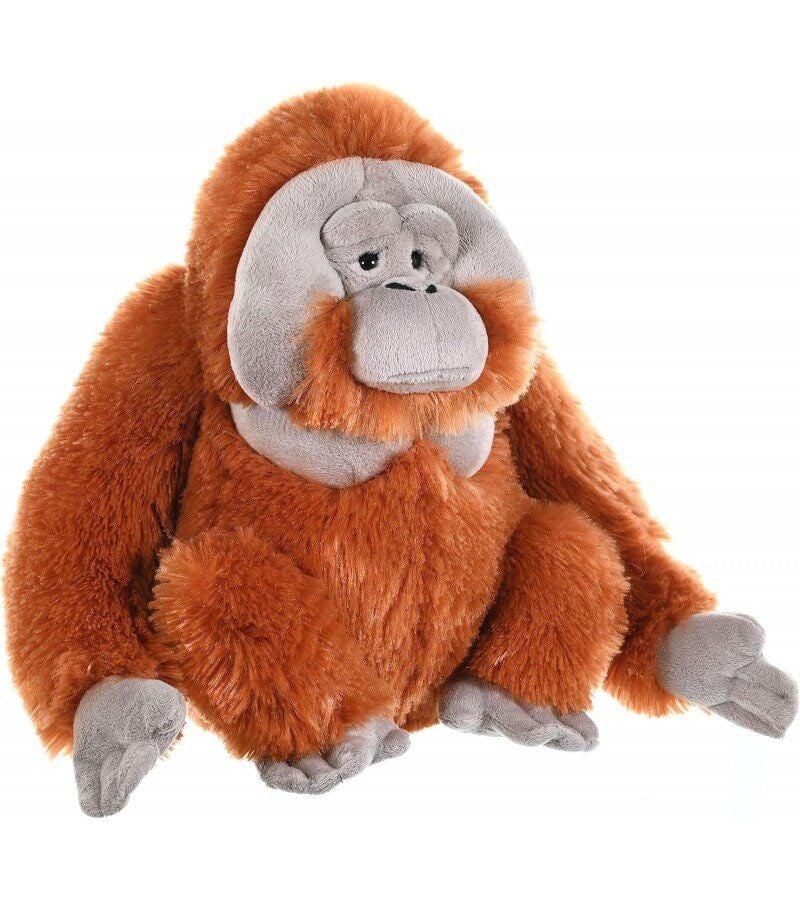 Peluş Erkek Orangutan Peluş 30 Cm Wıld Republıc Ck Serisi